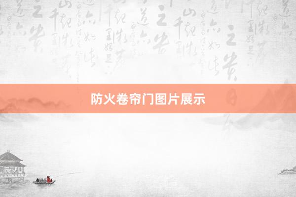 防火卷帘门图片展示