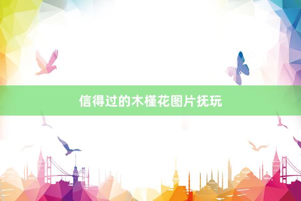 信得过的木槿花图片抚玩
